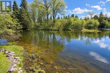 77 MCGUIRE BEACH ROAD Kawartha Lakes (Carden) Ontario photo 39