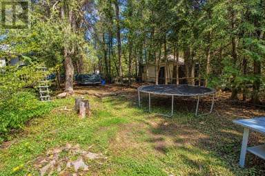 77 MCGUIRE BEACH ROAD Kawartha Lakes (Carden) Ontario photo 40