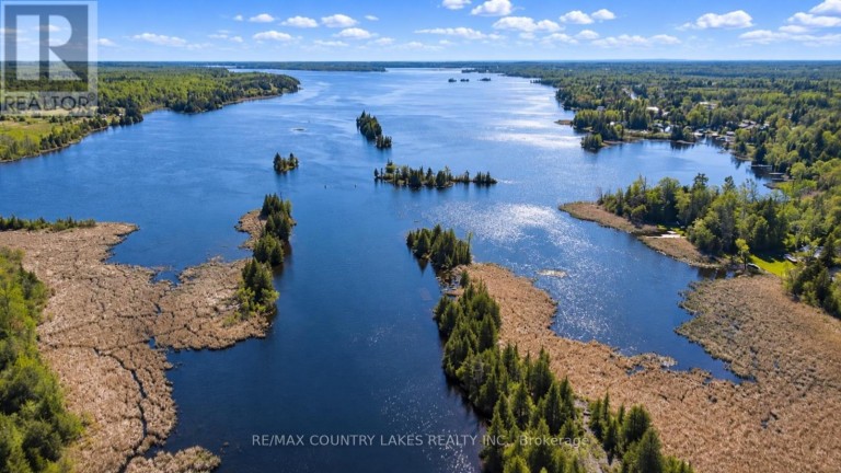 77 MCGUIRE BEACH ROAD, Kawartha Lakes (Carden), Ontario, K0M2B0