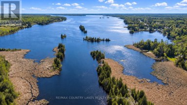 77 MCGUIRE BEACH ROAD Kawartha Lakes (Carden) Ontario photo 41