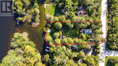 77 MCGUIRE BEACH ROAD Kawartha Lakes (Carden) Ontario photo 42