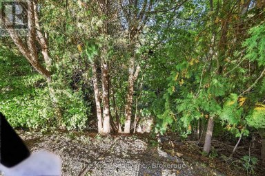 293 BRIGHTON COURT Oshawa (Eastdale) Ontario photo 46