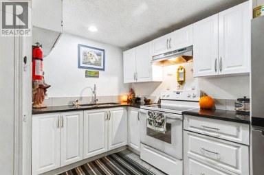 3714 Dover Ridge Drive SE Calgary Alberta photo 17
