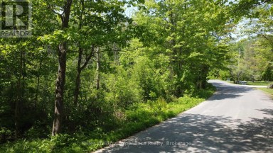 162 BONNEVILLE ROAD Georgian Bay (Baxter) Ontario photo 6