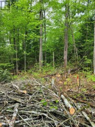LT 17 LAIDLAW AVENUE Gravenhurst (Muskoka (S)) Ontario photo 13