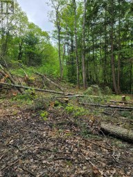 LT 17 LAIDLAW AVENUE Gravenhurst (Muskoka (S)) Ontario photo 14