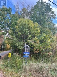 LT 17 LAIDLAW AVENUE Gravenhurst (Muskoka (S)) Ontario photo 16