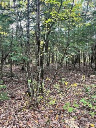 LT 17 LAIDLAW AVENUE Gravenhurst (Muskoka (S)) Ontario photo 19