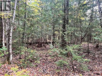 LT 17 LAIDLAW AVENUE Gravenhurst (Muskoka (S)) Ontario photo 20
