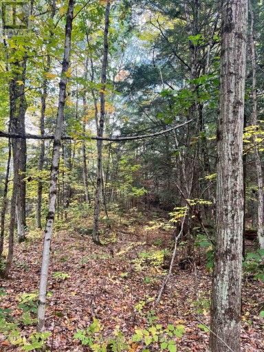 LT 17 LAIDLAW AVENUE, Gravenhurst (Muskoka (S)), Ontario, P1P1J4