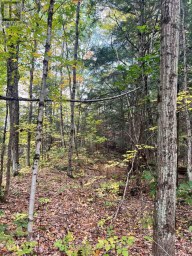 LT 17 LAIDLAW AVENUE Gravenhurst (Muskoka (S)) Ontario photo 21