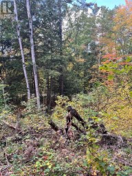 LT 17 LAIDLAW AVENUE Gravenhurst (Muskoka (S)) Ontario photo 22