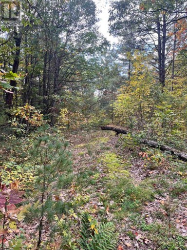 LT 17 LAIDLAW AVENUE, Gravenhurst (Muskoka (S)), Ontario, P1P1J4