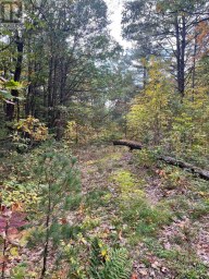 LT 17 LAIDLAW AVENUE Gravenhurst (Muskoka (S)) Ontario photo 23