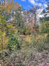 LT 17 LAIDLAW AVENUE Gravenhurst (Muskoka (S)) Ontario photo 24