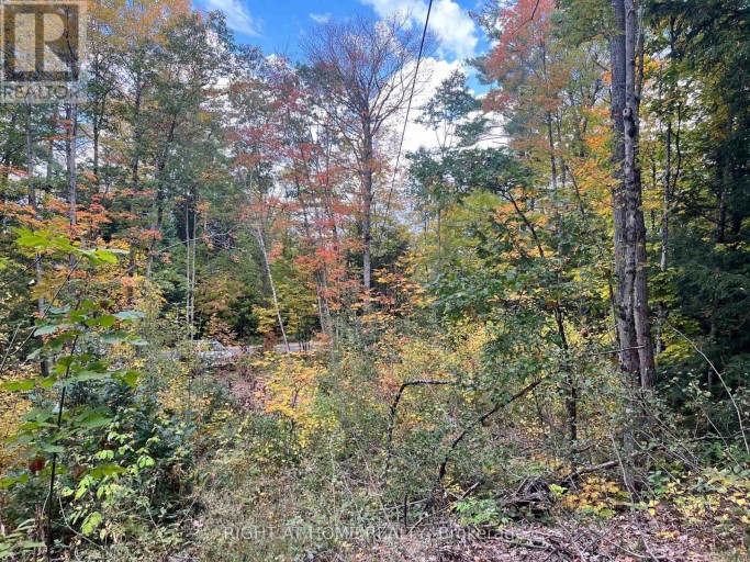LT 17 LAIDLAW AVENUE, Gravenhurst (Muskoka (S)), Ontario, P1P1J4