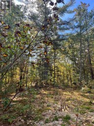LT 17 LAIDLAW AVENUE Gravenhurst (Muskoka (S)) Ontario photo 27