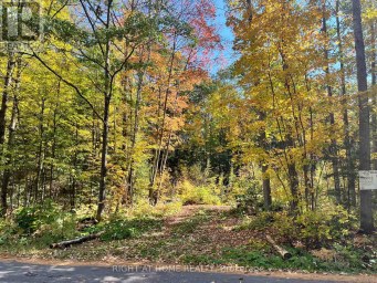 LT 17 LAIDLAW AVENUE Gravenhurst (Muskoka (S)) Ontario photo 29