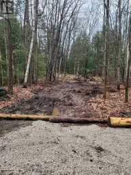 LT 17 LAIDLAW AVENUE Gravenhurst (Muskoka (S)) Ontario photo 8