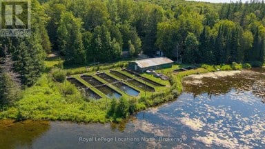 548037 3RD SIDE ROAD Blue Mountains Ontario photo 1