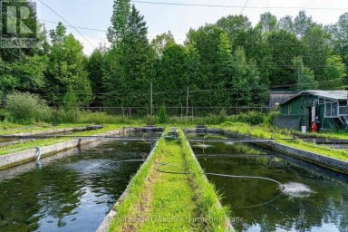 548037 3RD SIDE ROAD Blue Mountains Ontario photo 20