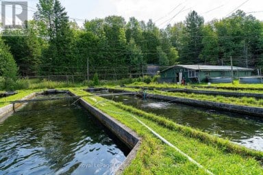 548037 3RD SIDE ROAD Blue Mountains Ontario photo 21