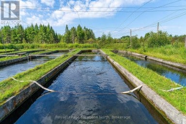 548037 3RD SIDE ROAD Blue Mountains Ontario photo 22