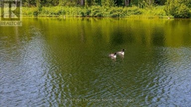 548037 3RD SIDE ROAD Blue Mountains Ontario photo 26