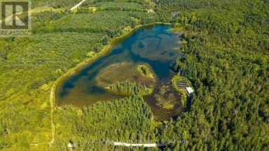 548037 3RD SIDE ROAD Blue Mountains Ontario photo 41