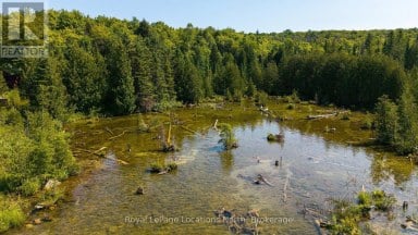 548037 3RD SIDE ROAD Blue Mountains Ontario photo 42