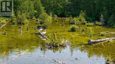548037 3RD SIDE ROAD Blue Mountains Ontario photo 43