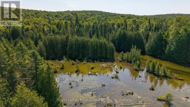 548037 3RD SIDE ROAD Blue Mountains Ontario photo 44