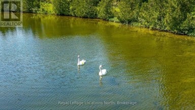 548037 3RD SIDE ROAD Blue Mountains Ontario photo 6