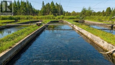 548037 3RD SIDE ROAD Blue Mountains Ontario photo 8