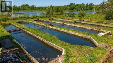 548037 3RD SIDE ROAD Blue Mountains Ontario photo 9
