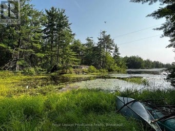 224 FIRE ROUTE 91 Havelock-Belmont-Methuen Ontario photo 15