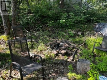 224 FIRE ROUTE 91 Havelock-Belmont-Methuen Ontario photo 23