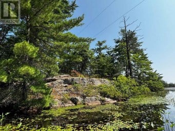 224 FIRE ROUTE 91 Havelock-Belmont-Methuen Ontario photo 26