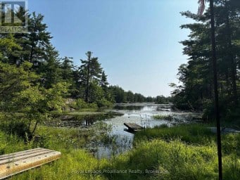 224 FIRE ROUTE 91 Havelock-Belmont-Methuen Ontario photo 38