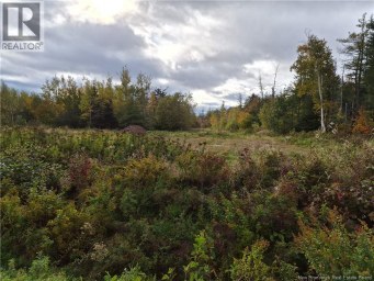 Lot Four Roads Inkerman New Brunswick photo 1
