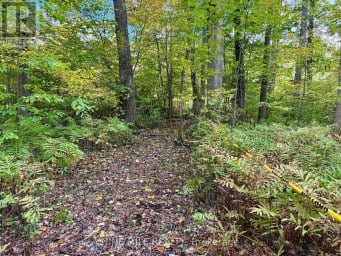 3159 SWITCH ROAD Ramara Ontario photo 1