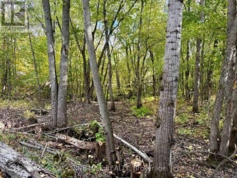3159 SWITCH ROAD Ramara Ontario photo 10