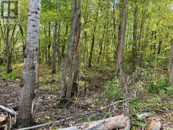 3159 SWITCH ROAD Ramara Ontario photo 11