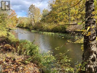 3159 SWITCH ROAD Ramara Ontario photo 13