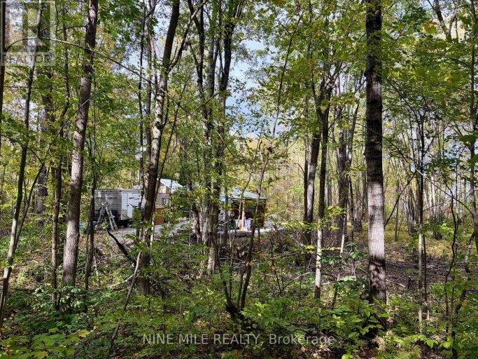 3159 SWITCH ROAD, Ramara, Ontario, L0K2B0