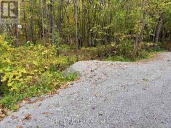 3159 SWITCH ROAD Ramara Ontario photo 2