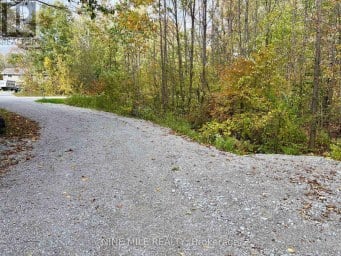 3159 SWITCH ROAD Ramara Ontario photo 6