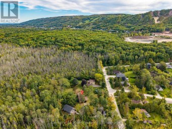 123 HIDDEN LAKE ROAD Blue Mountains Ontario photo 35
