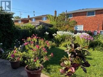 36 ALGONQUIN COURT Hamilton (Lisgar) Ontario photo 42