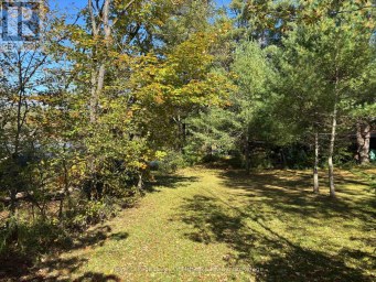 1345 HIGHWAY 118 EAST Bracebridge (Draper) Ontario photo 3